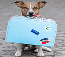 Icon Reiseverkehr Haustiere (© javier brosch, fotolia.com)