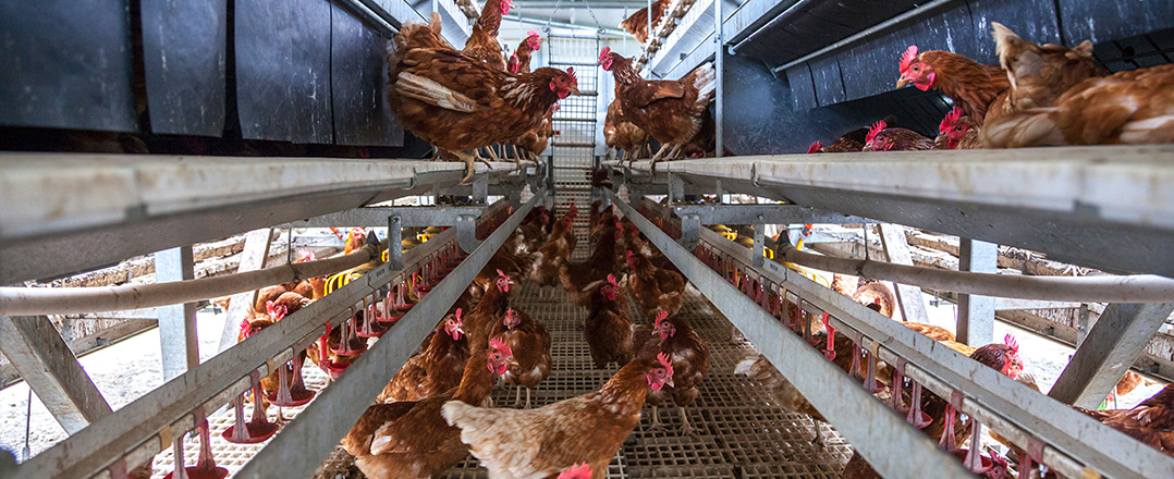 Bild: Dekoratives Bild; zur Seite: Stellenausschreibung.