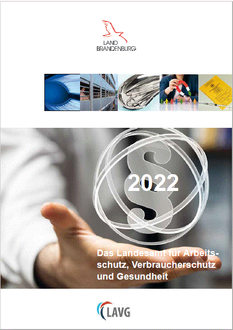 Bild vergrößern (Bild: Bild des Deckblatts des Geschäftsberichts 2022 des LAVG)