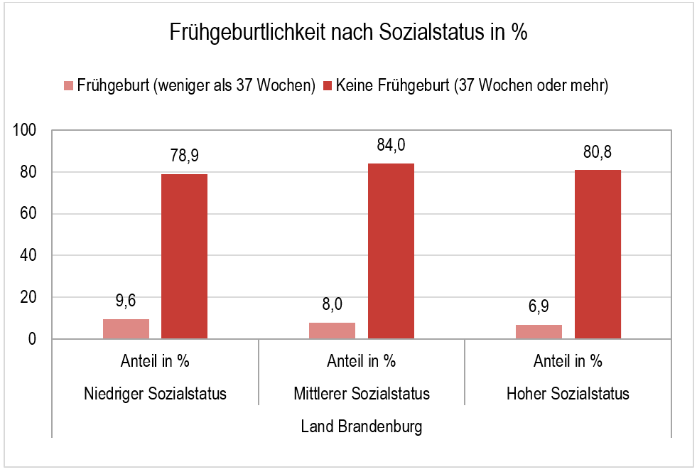 Balkendiagramm zur Prävalenz der Frühgeburtlichkeit bei der Einschulungskohorte 2023 in Brandenburg nach Sozialstatus.