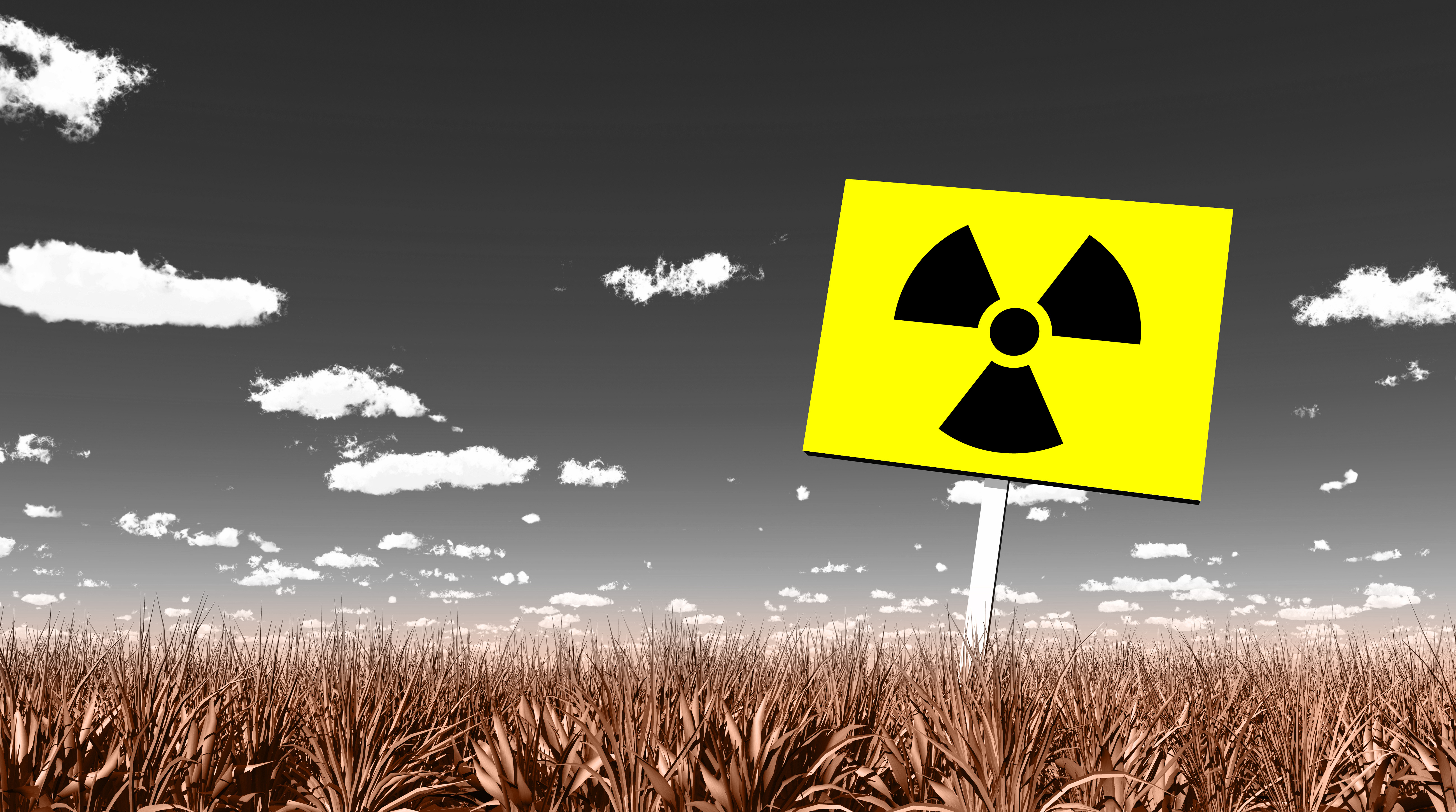 Radioaktiv verseuchtes Land - verdorrtes Gras und Strahlungspiktogramm