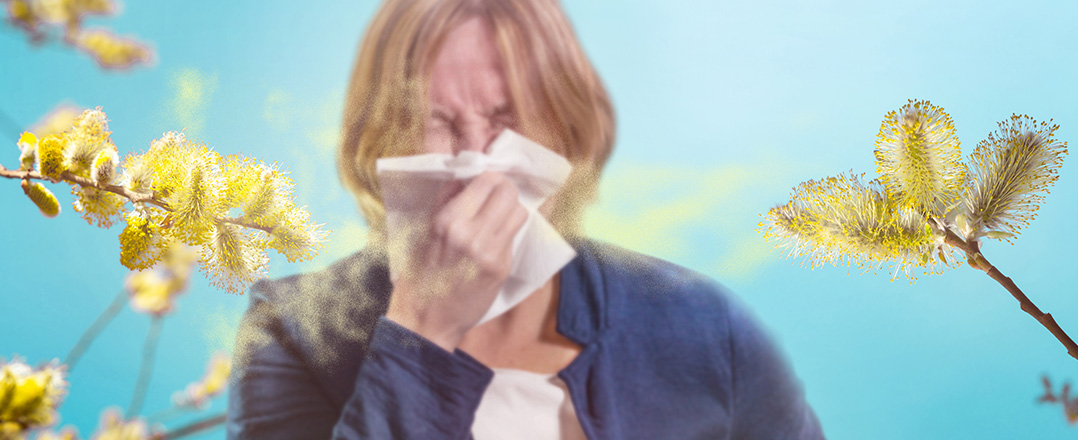 Bild: Dekoratives Bild