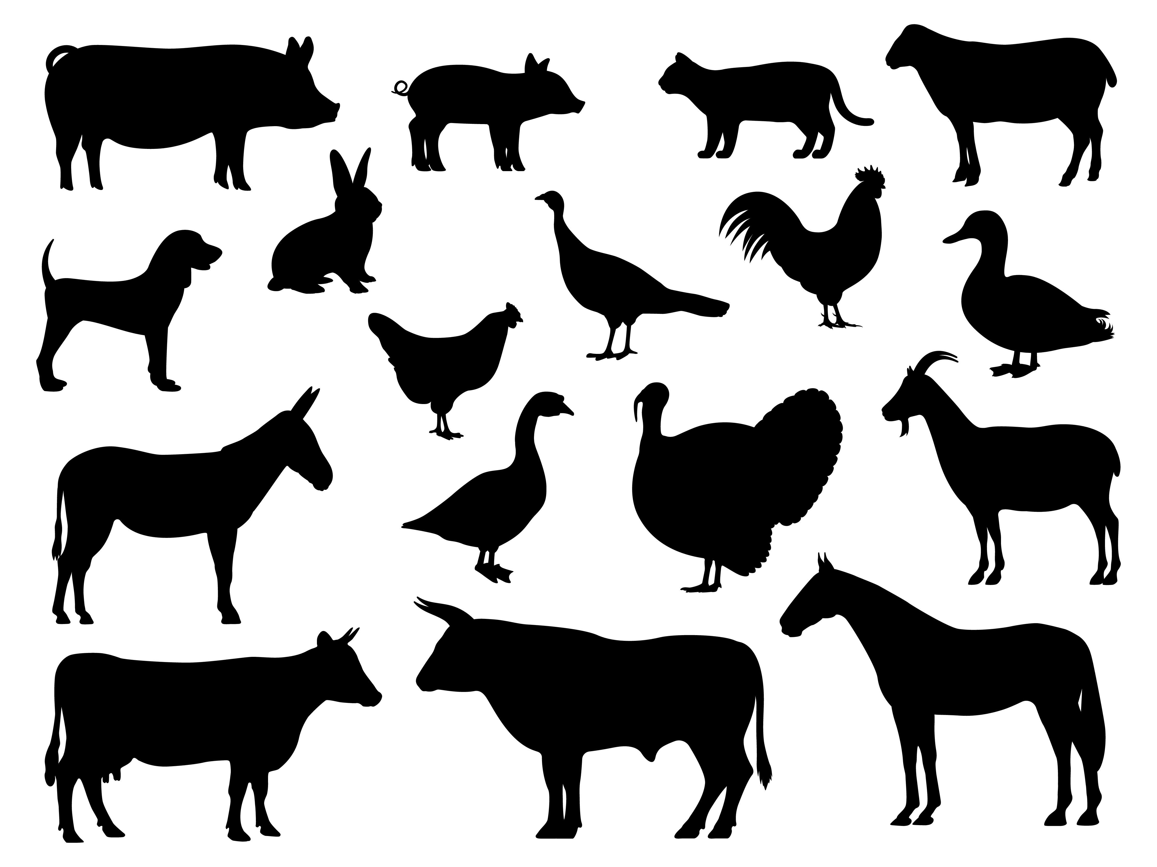 Silhouetten in schwarz von Schwein, Katze, Hund, Schaf, Hase, Esel, Pferd, Rind, Ziege, Geflügel