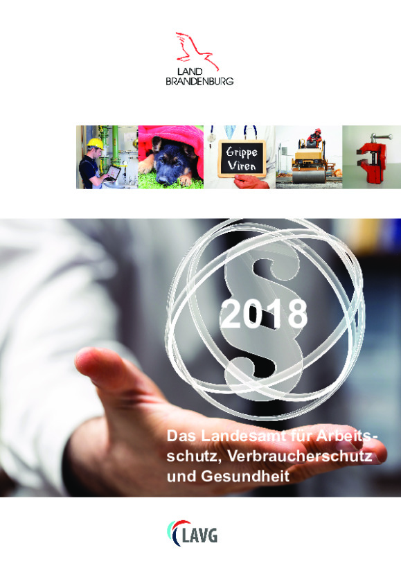 Bild vergrößern (Bild: Geschaeftsbericht_LAVG_2018_ Druckfassung.pdf)